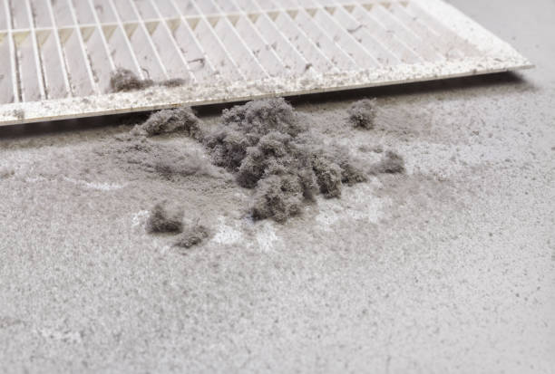 Best Ductwork Cleaning Services  in Six Mile, SC